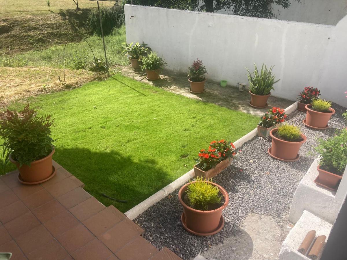 Apartamento Con Jardin En El Oviedo Antiguo Экстерьер фото